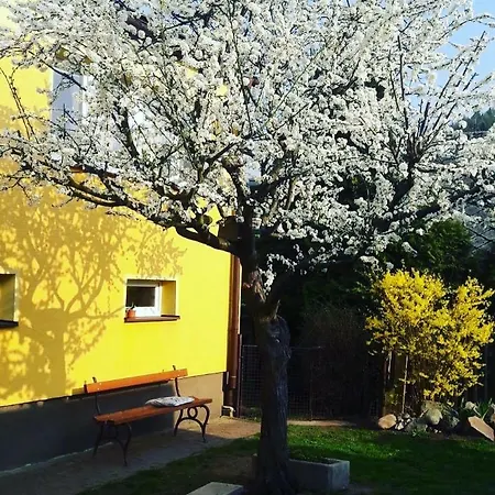 Apartment Novakovi *