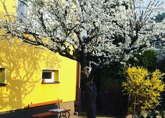 Apartament Novakovi *